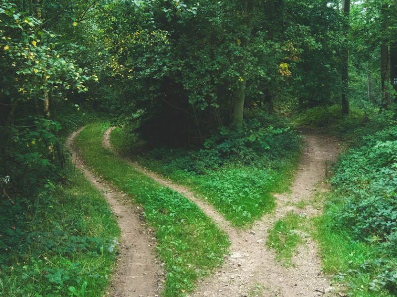 Two Paths